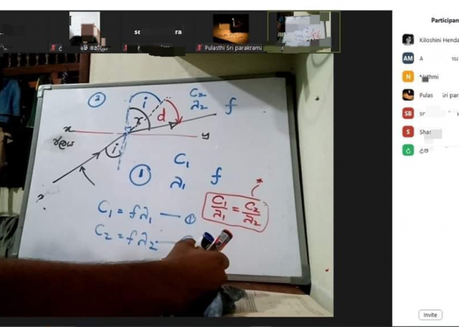 Online Physics Teaching Programme