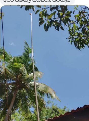 A Beacon of Hope in the Jungle