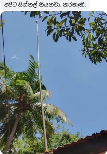 A Beacon of Hope in the Jungle