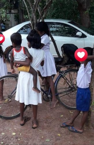 Piku Pihi Grade Five Scholarship 2025 – Dreams Taking Flight